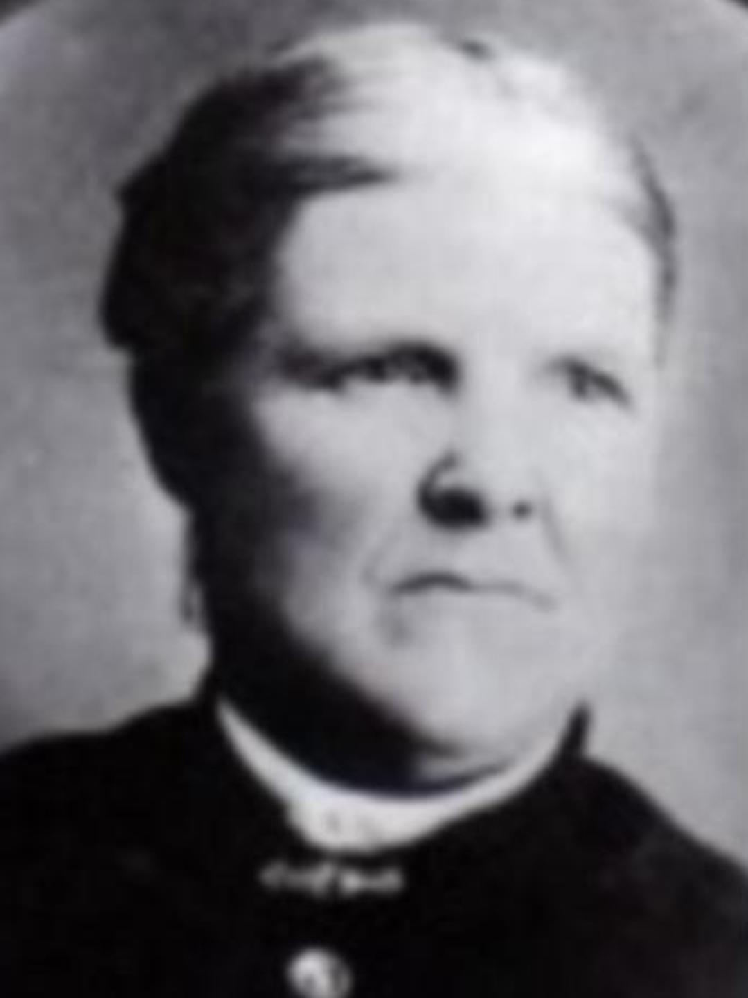 Sarah Wheeler (1840 - 1899) Profile